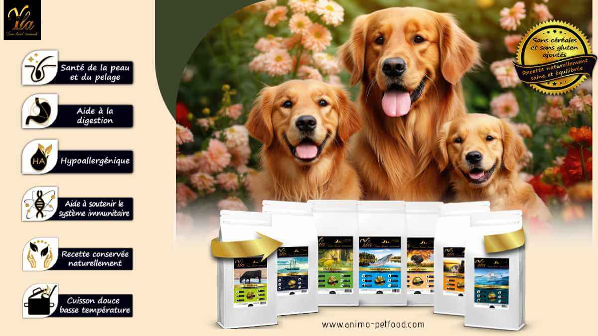 alimentation-sans-cereale-ni-gluten-pour-chien-chiot